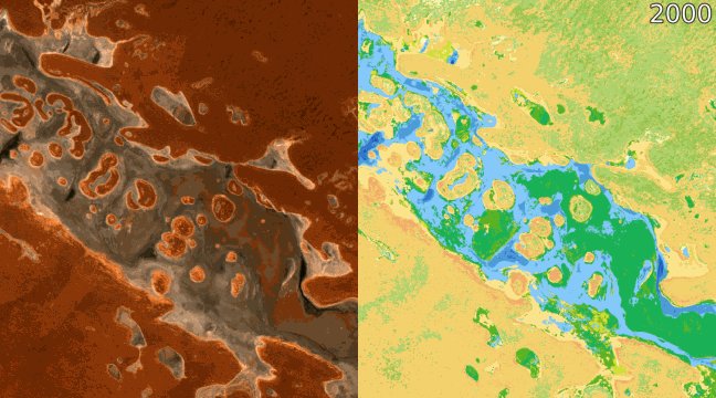 Timeseries lake Amadeus